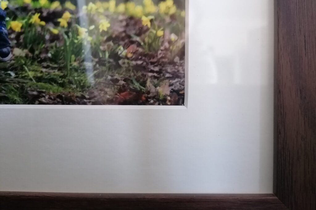framed prints