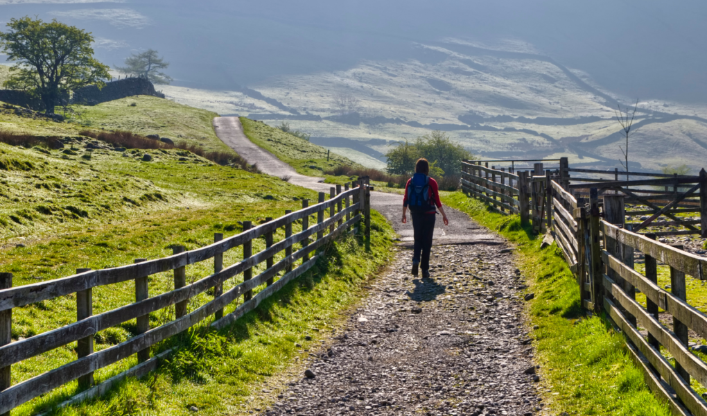 Easy Wainwrights