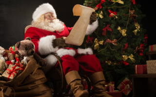 rnib free santa letter